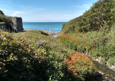 Mouthmill at Clovelly