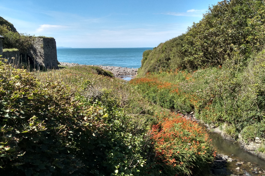 Mouthmill at Clovelly