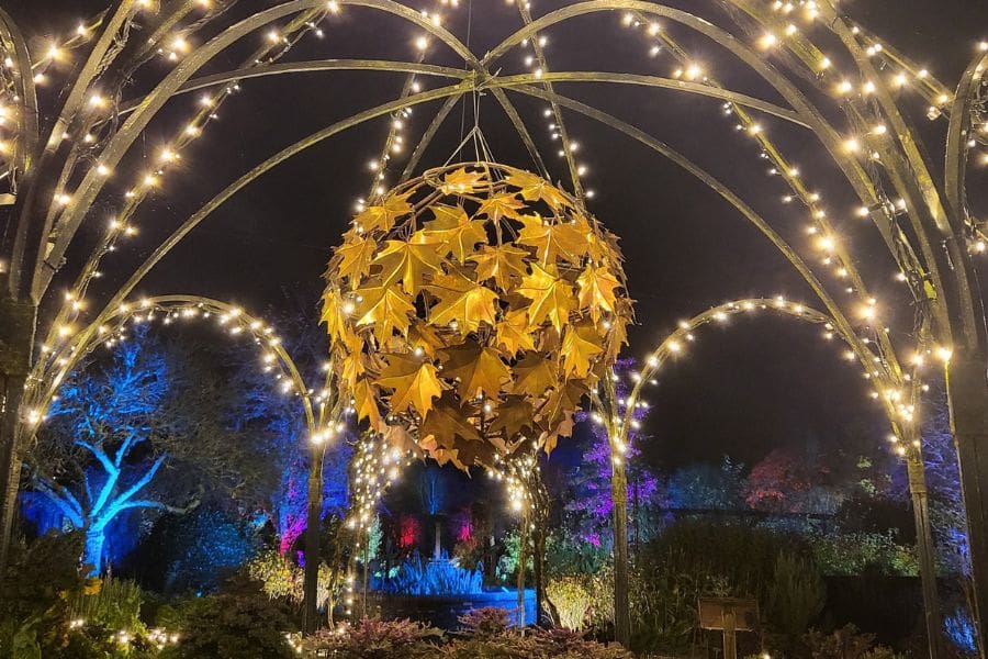 The Illuminations at RHS Rosemoor Glow