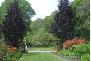 View of RHS Rosemoor gardens