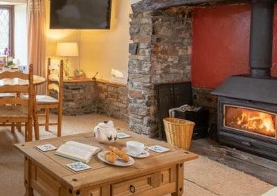 cosy living room with croissants and pot of tea on a table in front of a roaring log fire