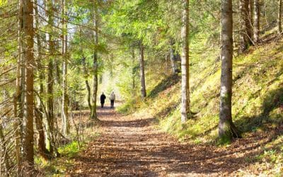 An Autumn holiday in the UK