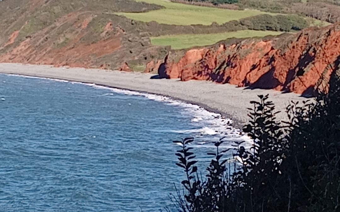Peppercombe Beach